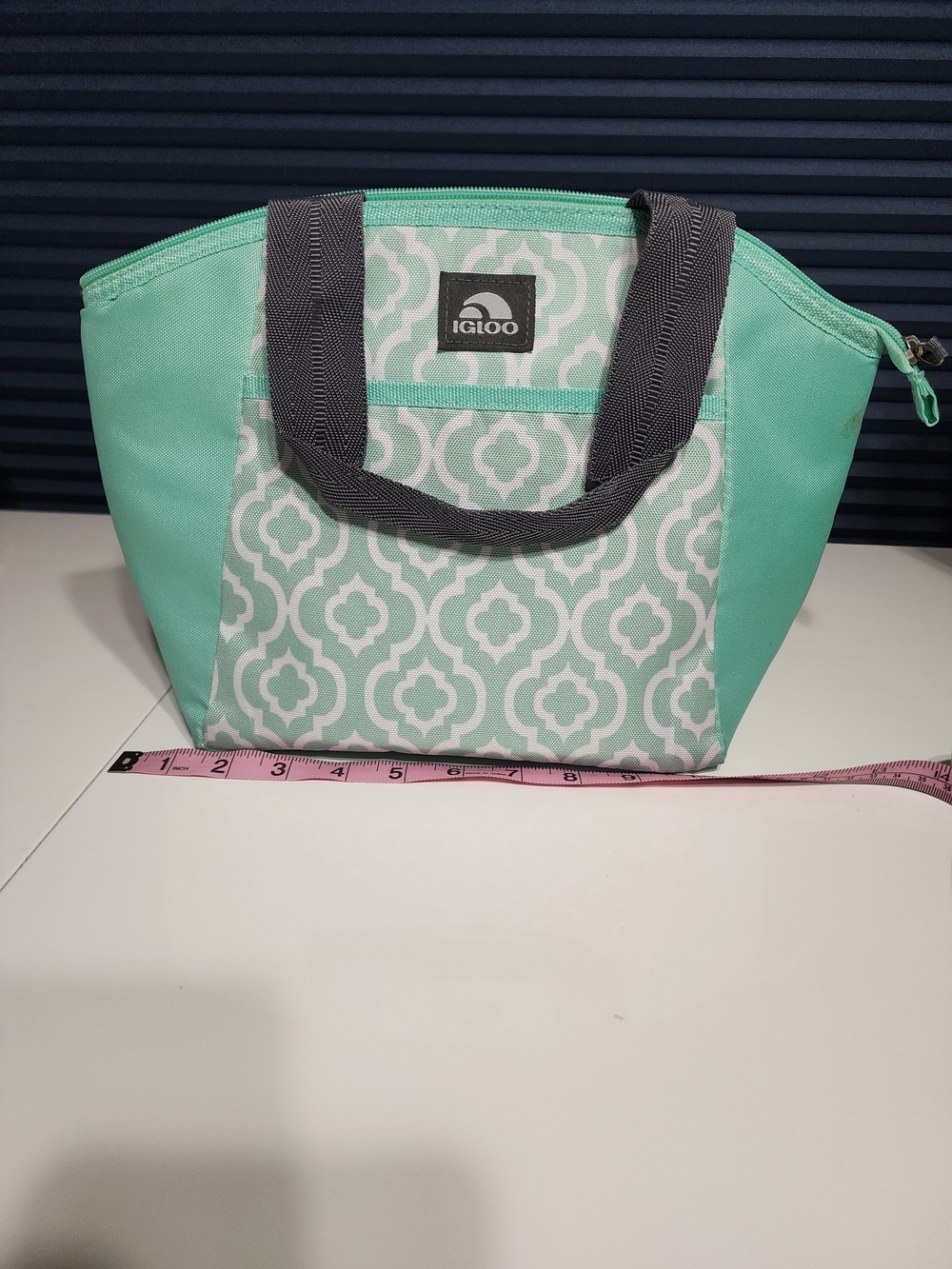 Igloo Mint Green Patterned Insulated Tote Bag Summer Beach Ready